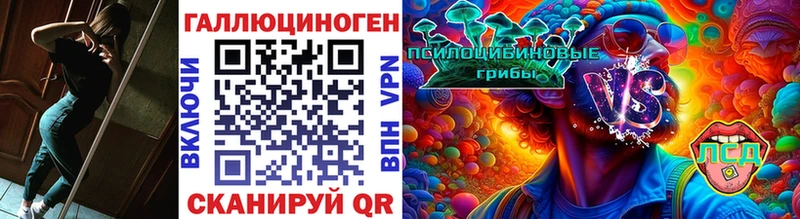 Псилоцибиновые грибы прущие грибы  где продают   Хасавюрт 